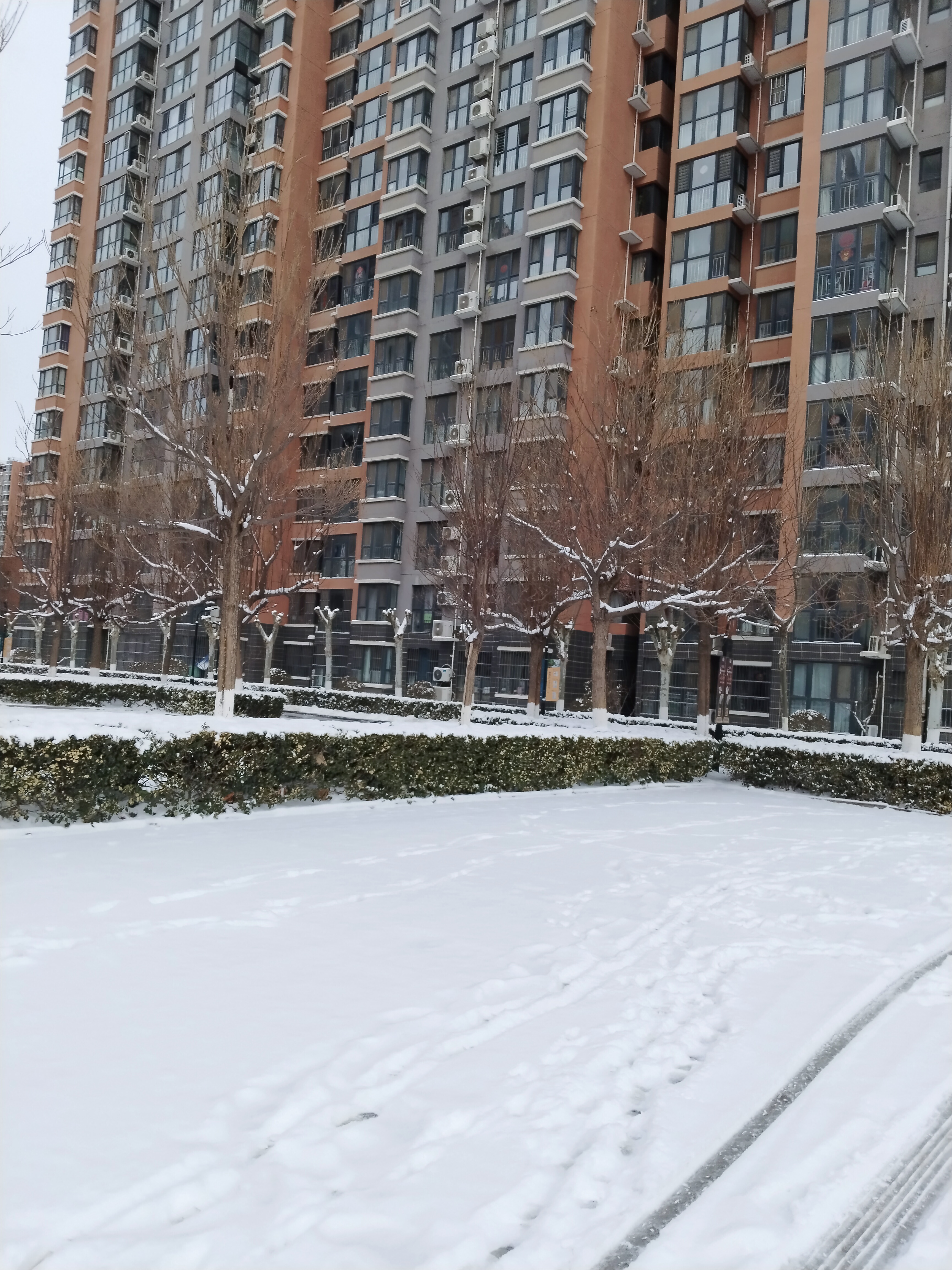 7615  78哇塞,这次的雪景真的太美了!
