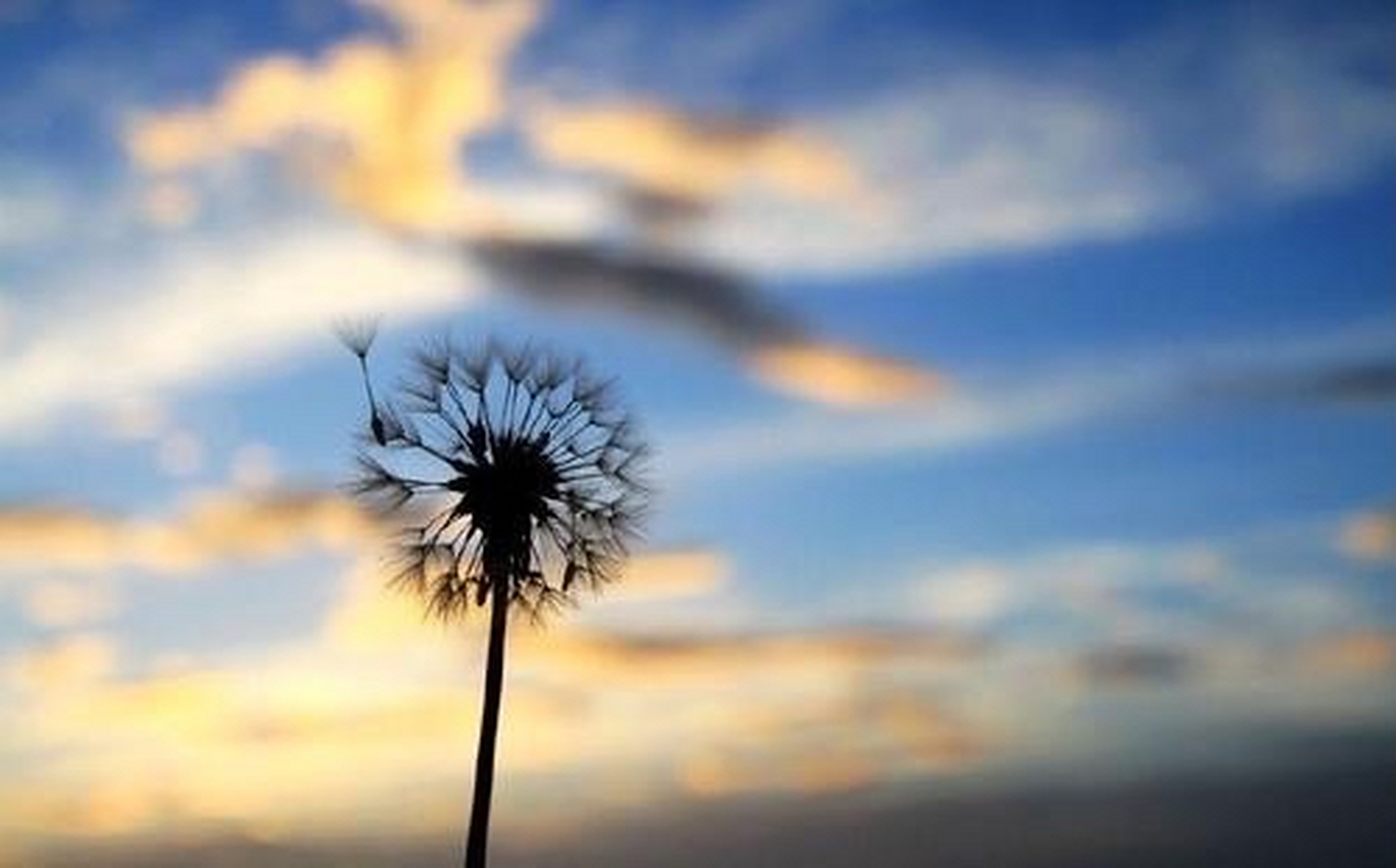 沉得住气 弯得下腰 抬得起头  正所谓:熟谷常弯腰