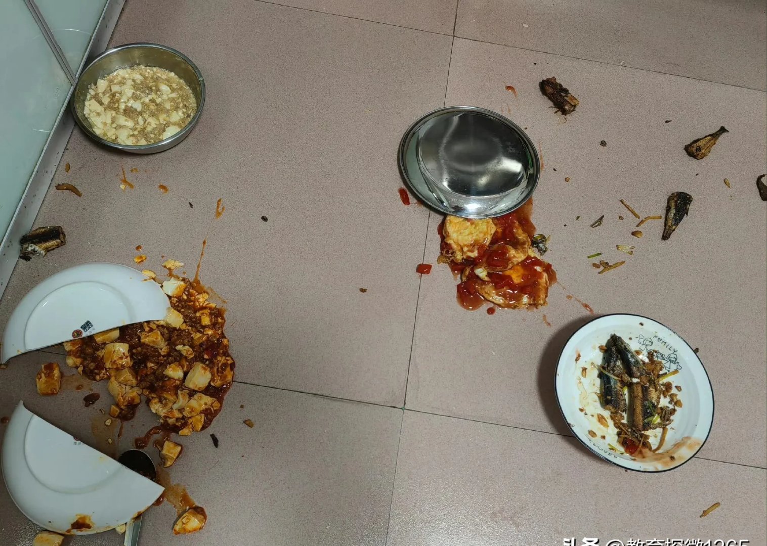 我真想彻底放弃我那上高二的儿子