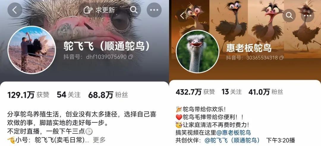 怎么使抖音火=怎么抖音火山版