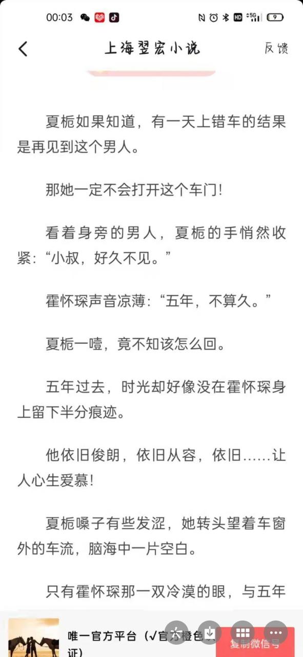 《夏栀霍怀琛小叔好久不见》又名《夏栀霍怀琛》小说txt全文完结阅读
