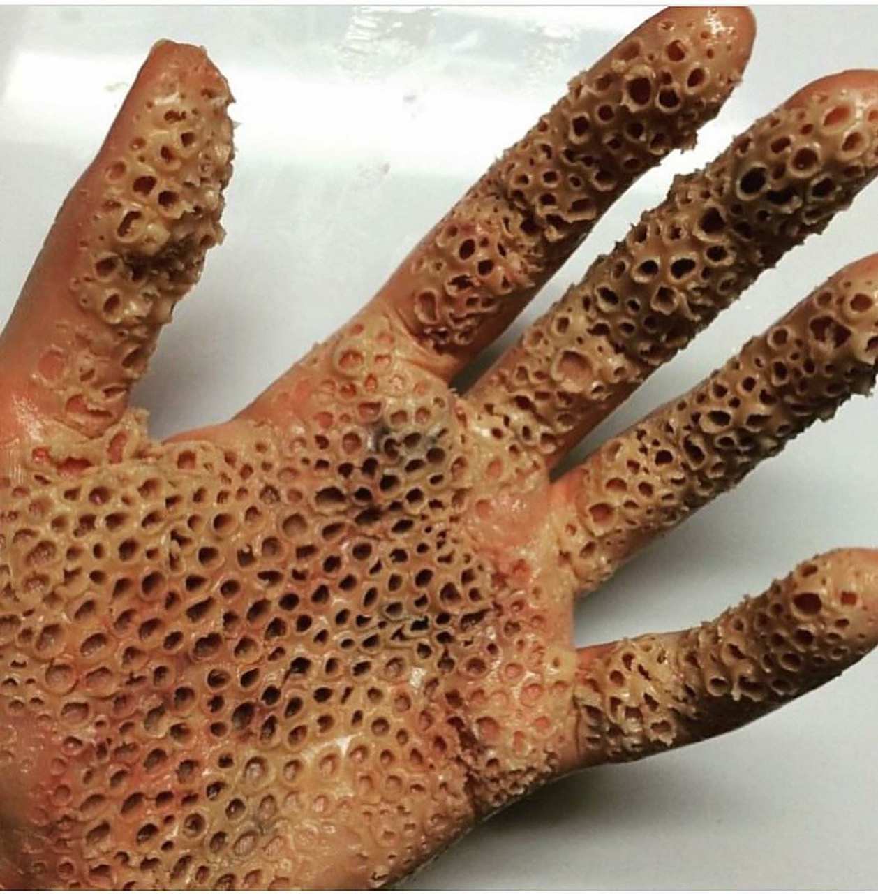 发现网图,密集恐惧症千万别看[左捂脸][左捂脸][左捂脸]