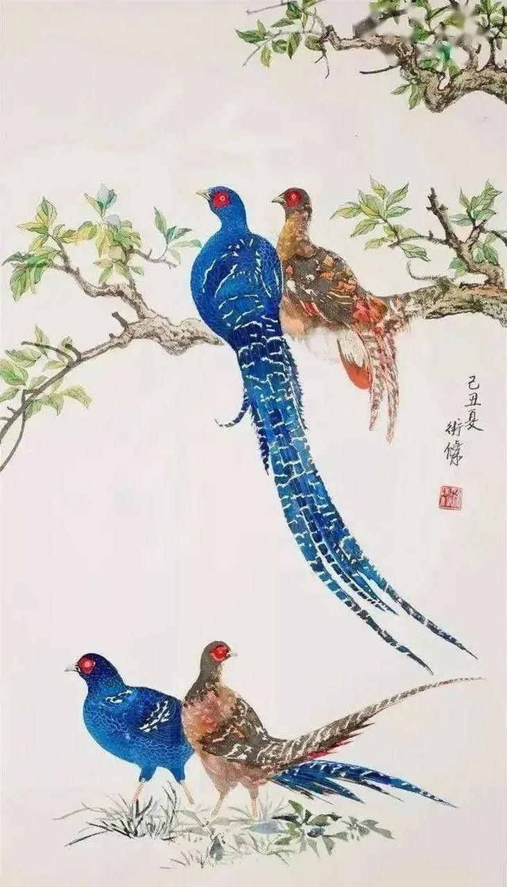 津门网# 锦鸡,即山雉,锦雉,因全身五彩皆备,华丽高贵,常作为锦上添花