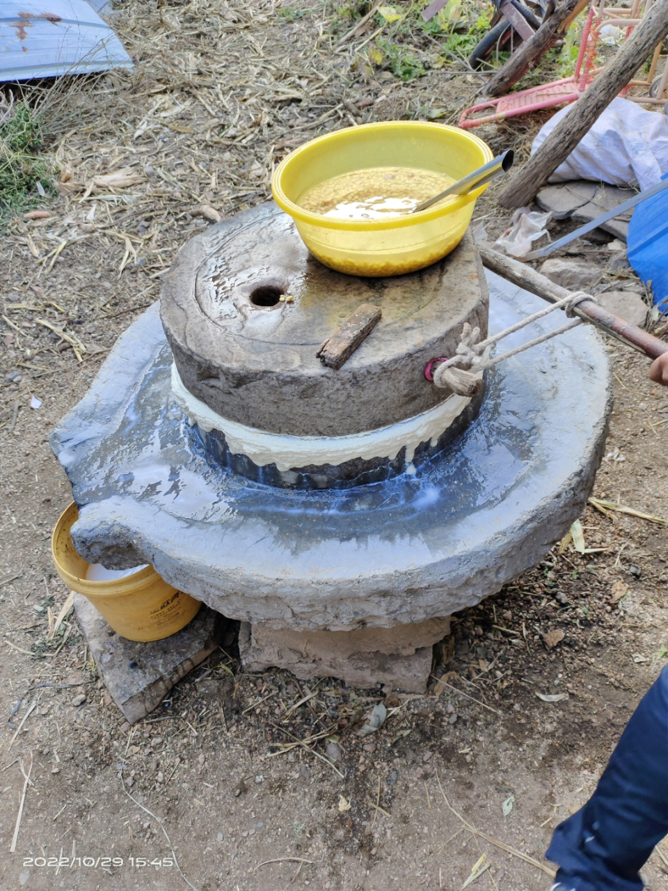 米,第二天来邻居家门口推磨,每次来到这,都会想起那句老话"老驴拉磨