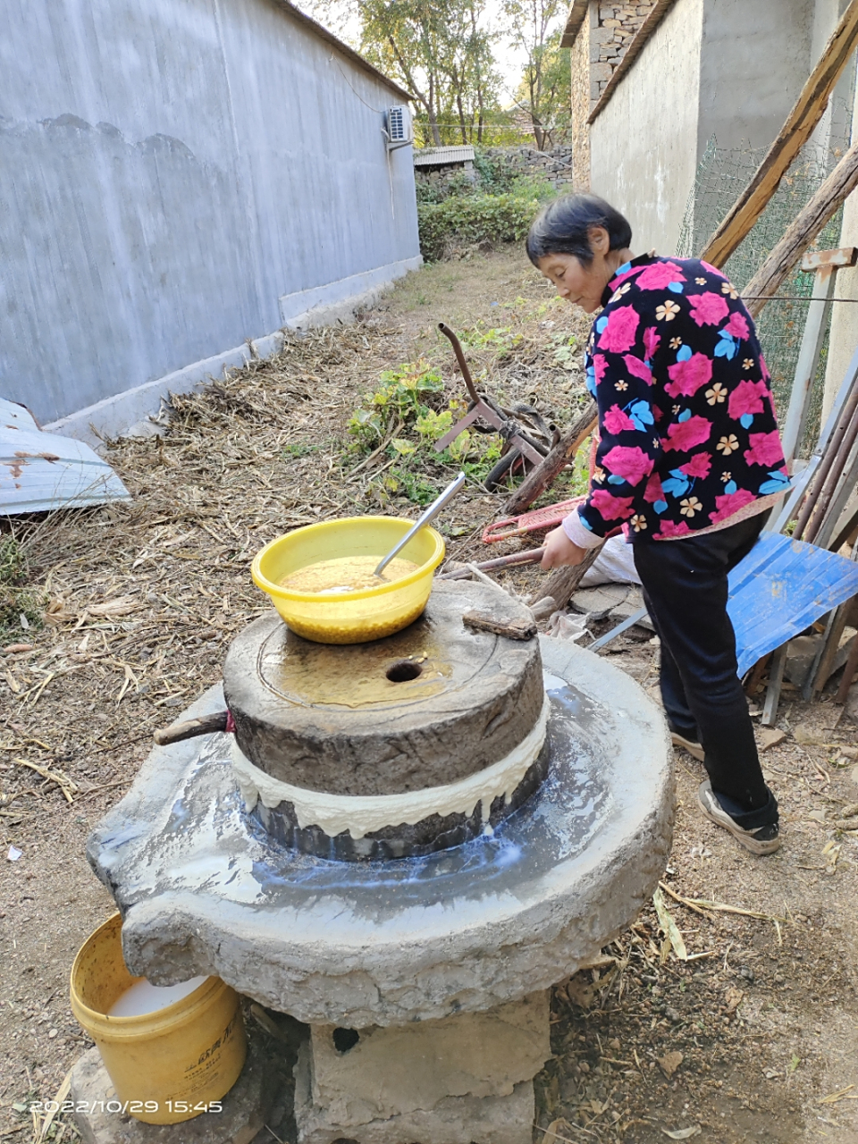 每年的这个时候,老妈都会来推磨,年纪大了,就想吃点豆沫菜,提前一天泡