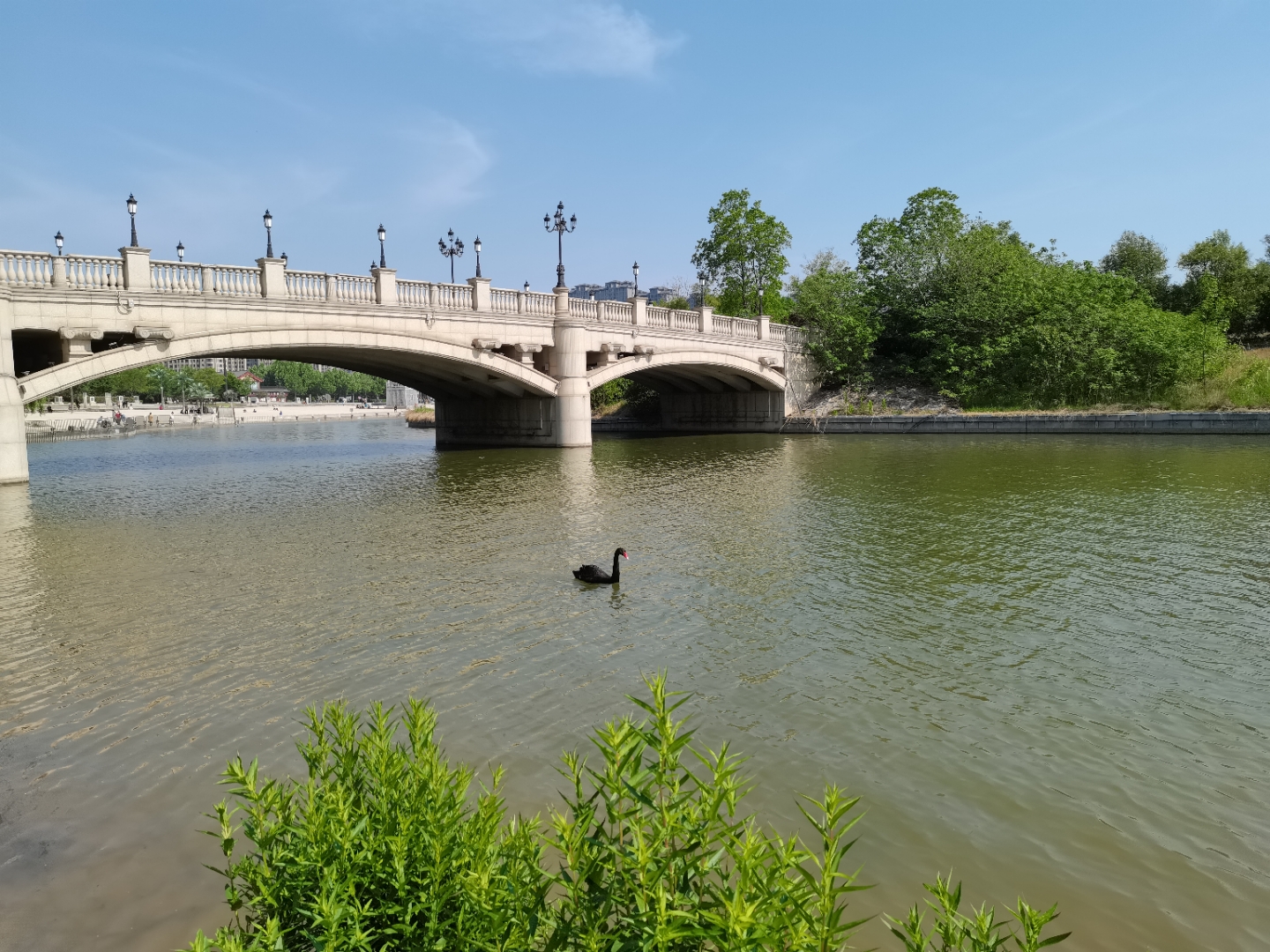 推荐[微风] 开封的银滩值得一逛,不知如何形容,但我觉得是略施粉黛,轻