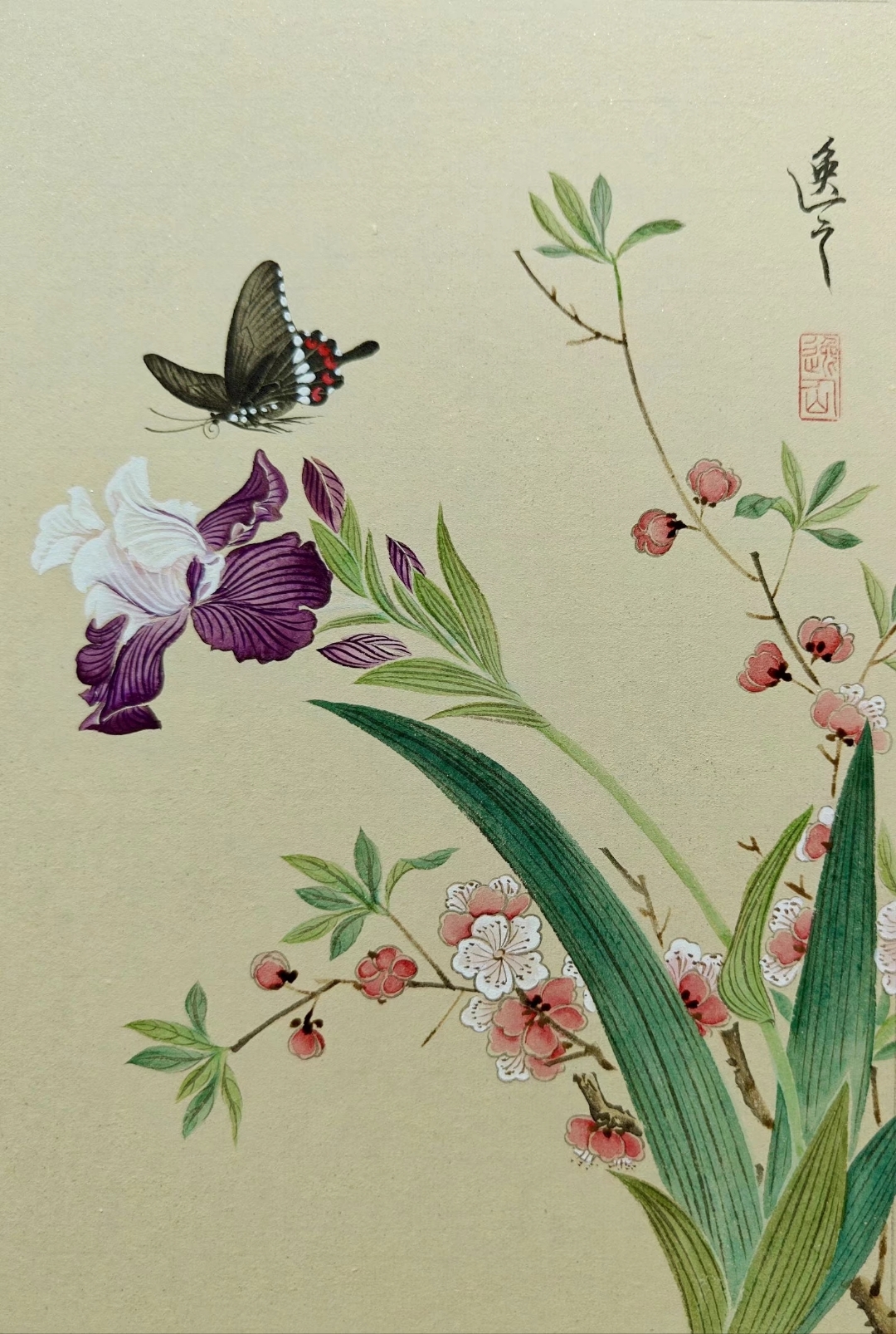 大全大图写意窗帘画法朱子言画展画的画画家曼菁工笔画蝶恋花晏殊图片