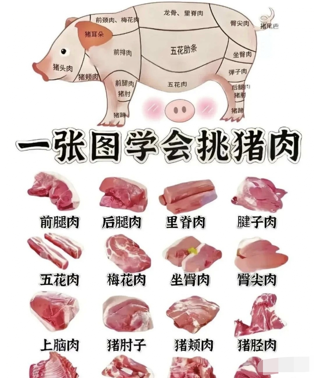 猪肉位置名称大全图片