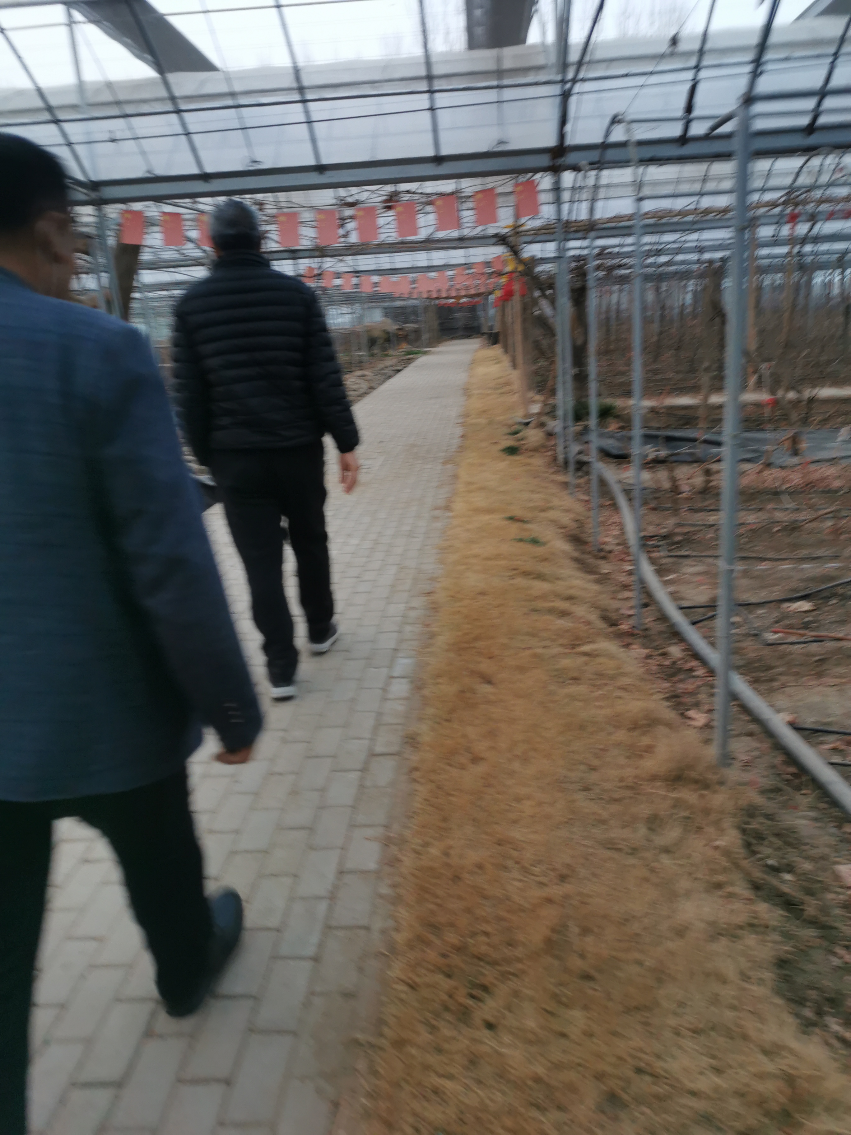 18号下午,我们一行,带着项目到达潍坊市昌乐县庵上湖村参观国家级农业