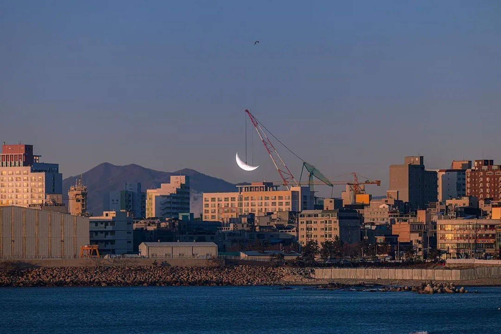 王琪《情人迷》[flac/mp3-320 王琪《情人迷》[flac/mp3-320k]无损