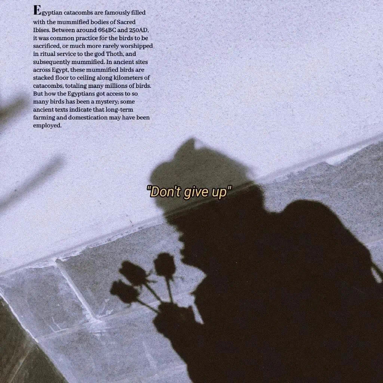 阿杜《离别》[flac/mp3-320k 阿杜《离别》[flac/mp3-320k]无损音乐