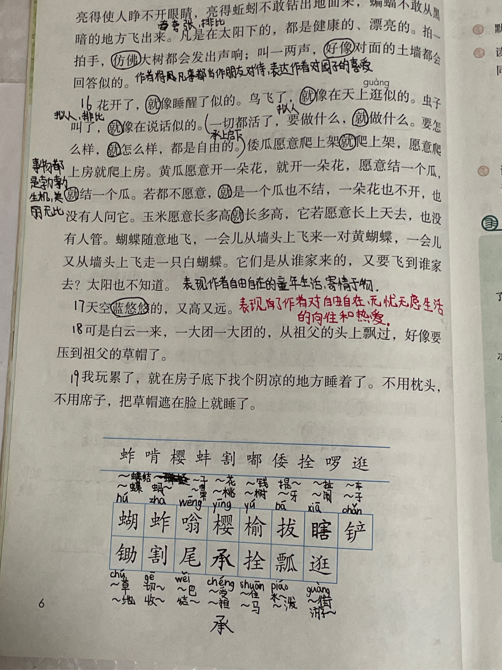 祖父的园子生字笔记图片