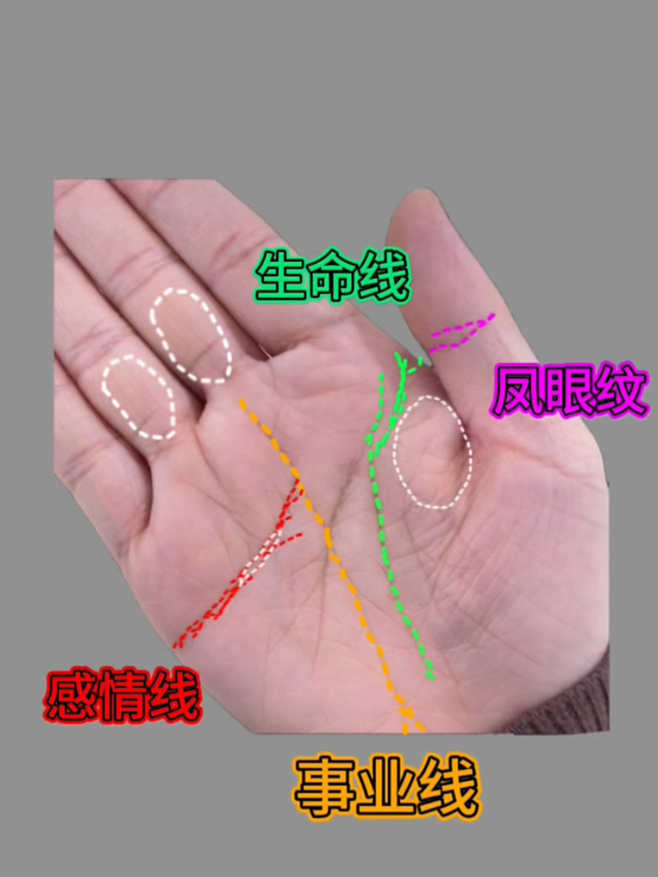纹路也偏深刻,人生路走的比较扎实,事业心强,掌控欲也比较强,有些偏