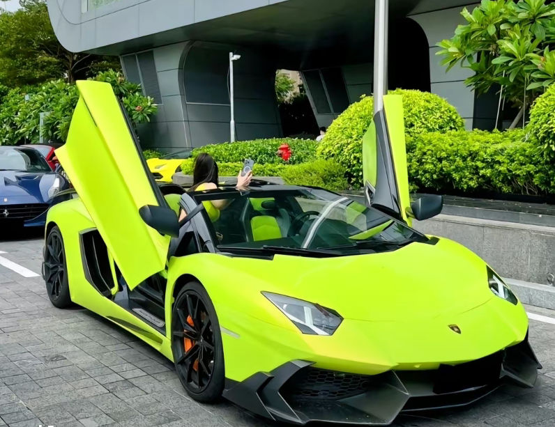 代表车型兰博基尼aventador,剪刀式车门,即它的铰链在前挡泥板,因车门