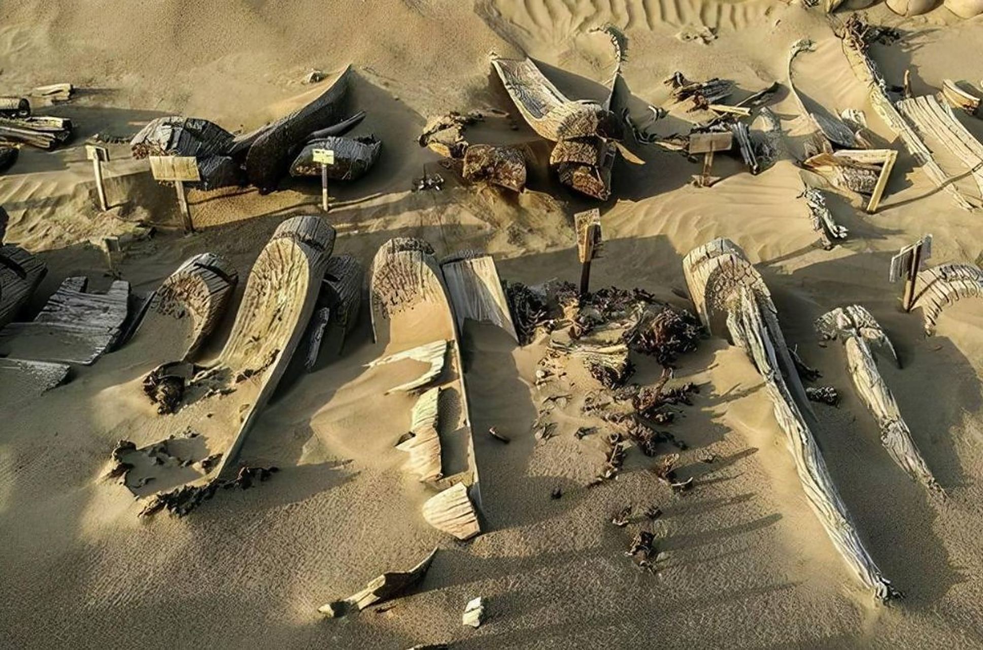 考古# 小河墓地位于中国河南省郑州市管城回族区,是一处古代墓地抑贩