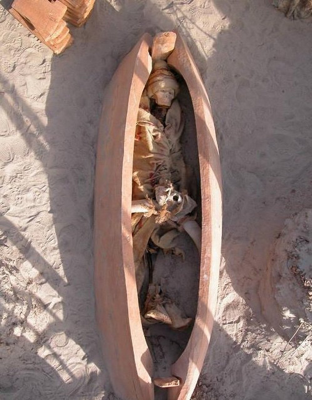 考古# 小河墓地位于中国河南省郑州市管城回族区,是一处古代墓地抑贩