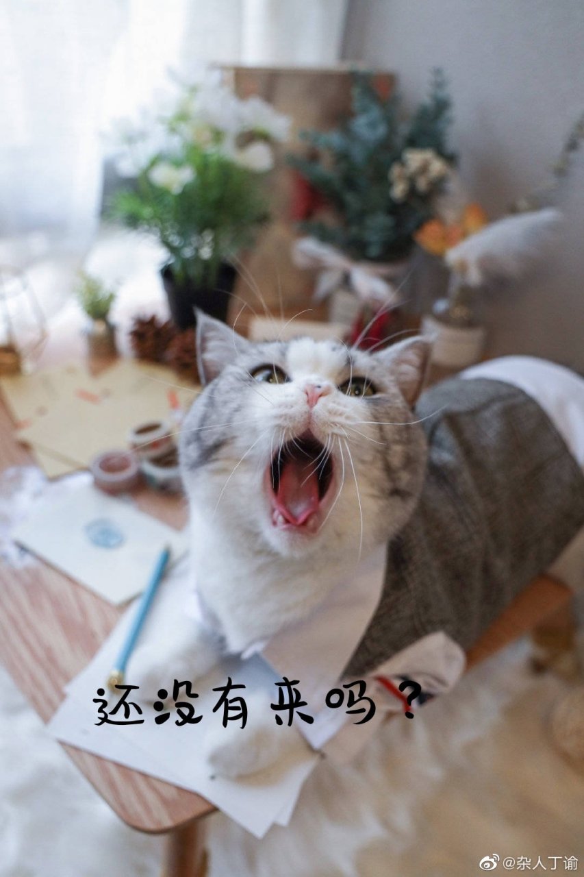 说实话,我想催更[doge][doge][doge]@钟三猫 @花花与三猫catlive