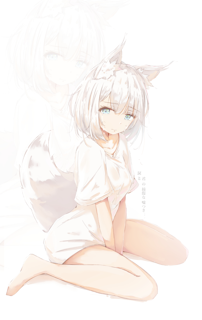 可爱猫耳娘插画集合#插画