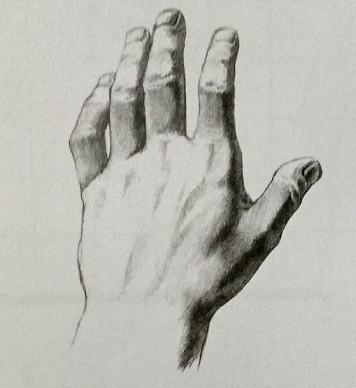 素描画手的理解(二) 素描就是画结构,不要只是找外形轮廓.