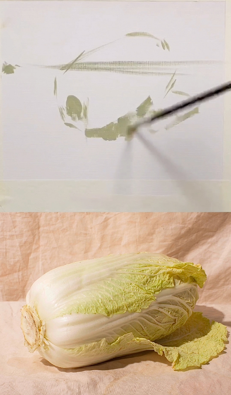 大白菜来啦——色彩静物
