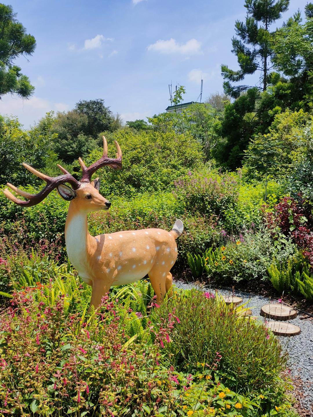 天呐,这样的男人怎么会有女朋友?