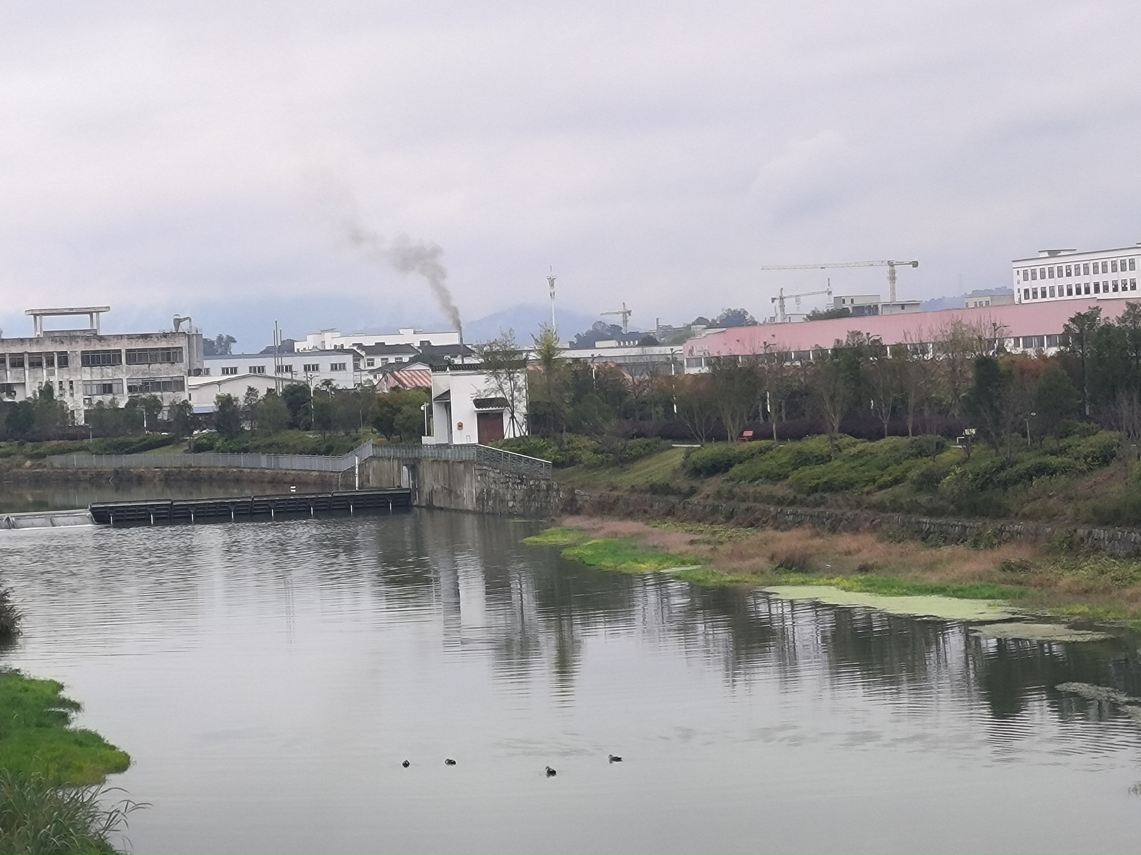 黄山区浦溪花园图片