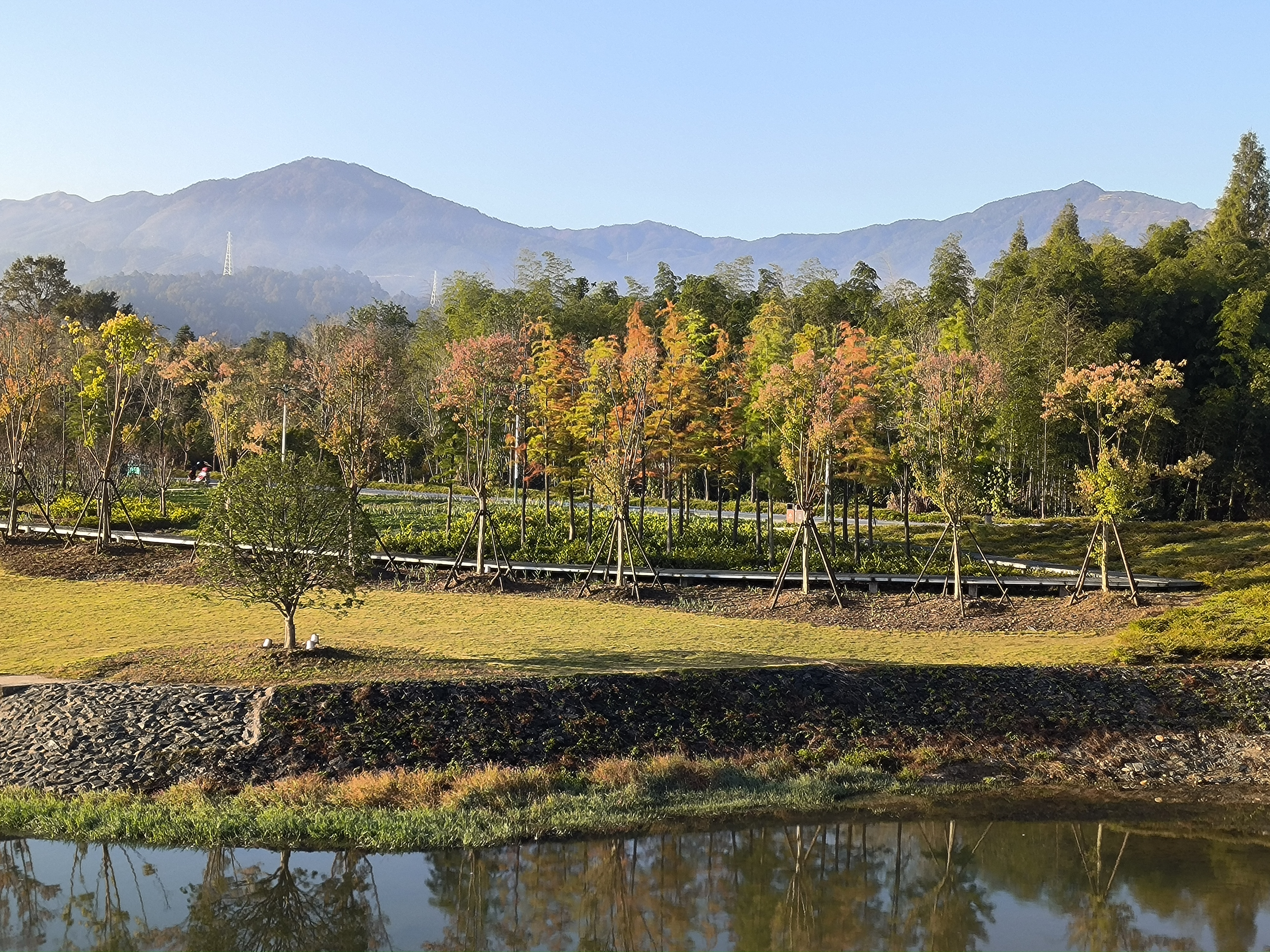 黄山区浦溪花园图片