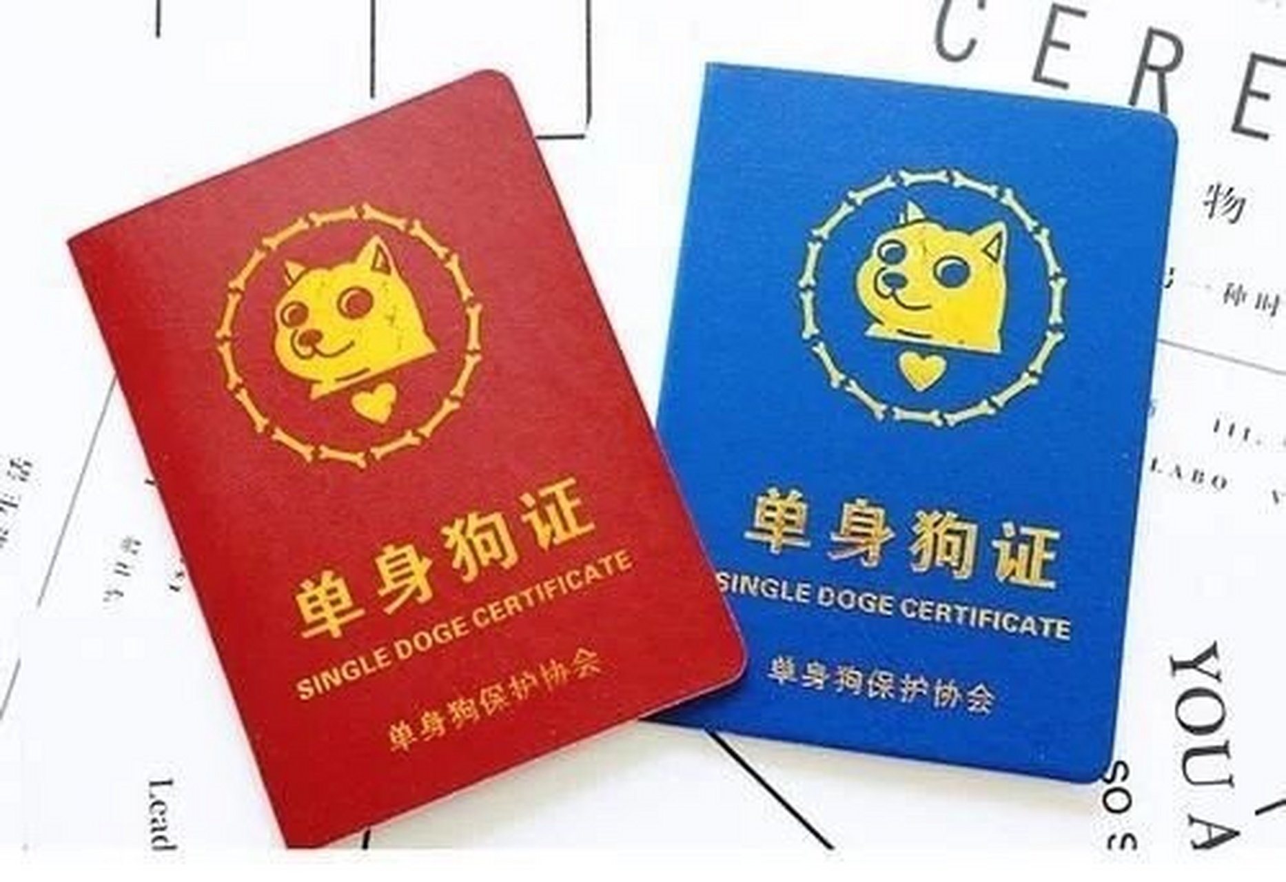 单身快乐[二哈][大哈][三哈]