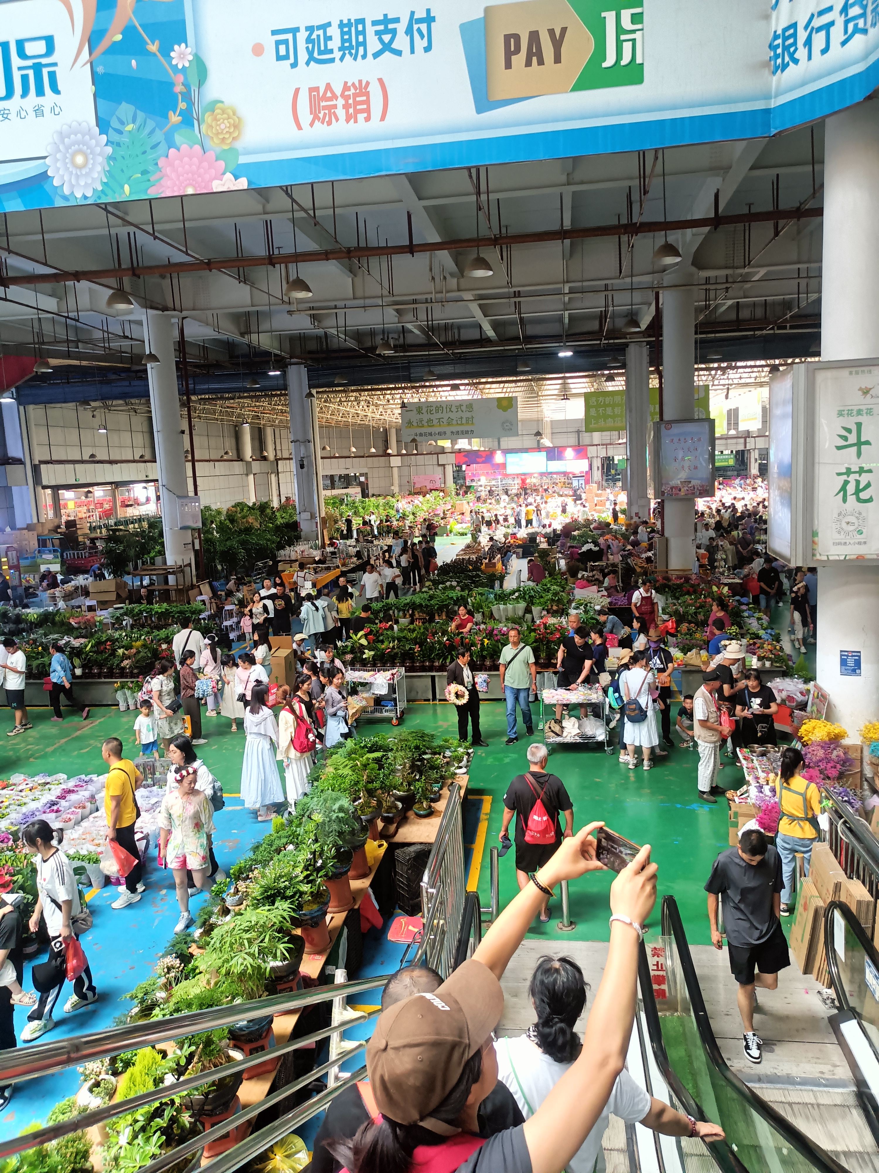 昆明斗南花卉市场位置图片