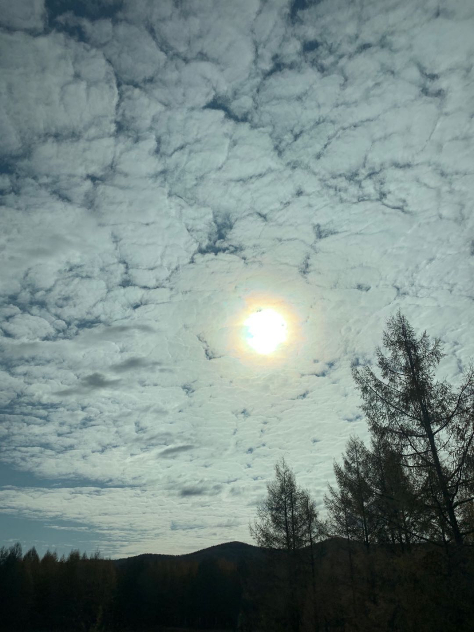 闪光的未必都是金子,而沉默的也不一定就是石头.