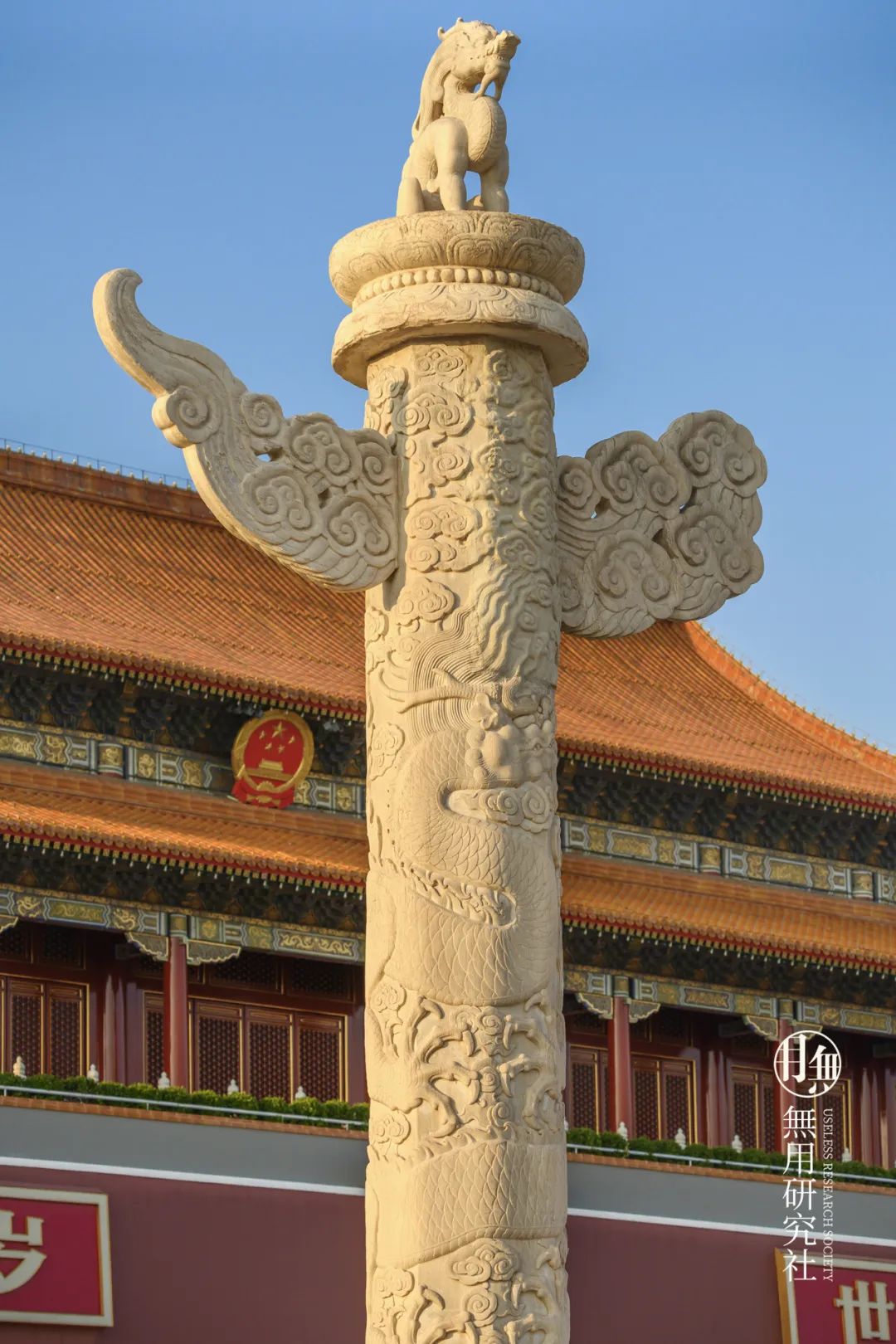 今天看到中国青少年的肥胖率,大约是19% 分享一下,如何减肥