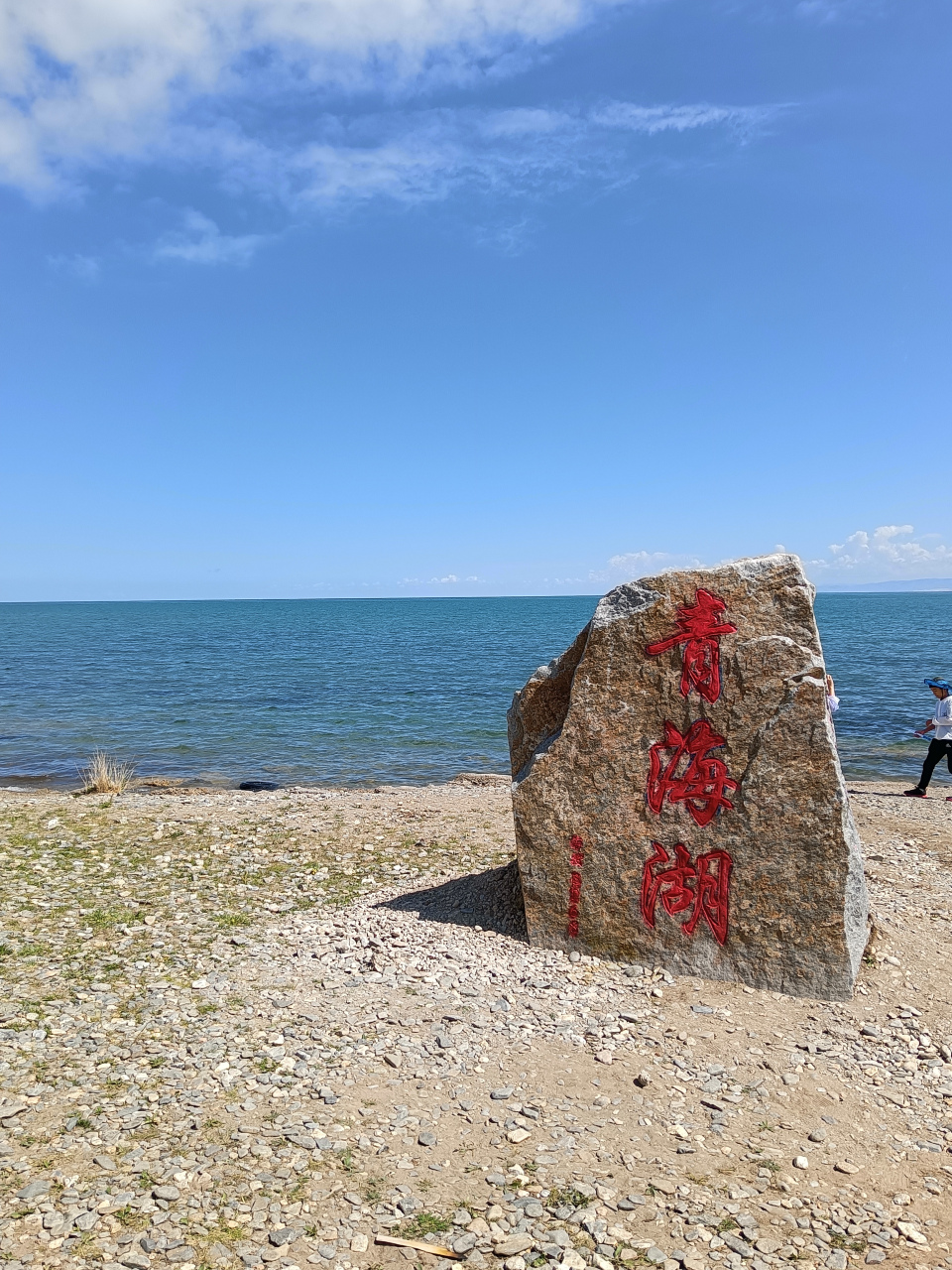 宝树王来青海了