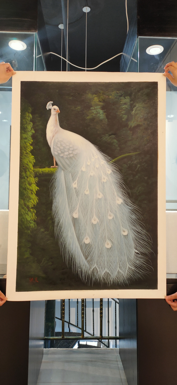 美术作品# 张良油画《白孔雀》 尺寸:60x90cm 白孔雀是一种吉祥的