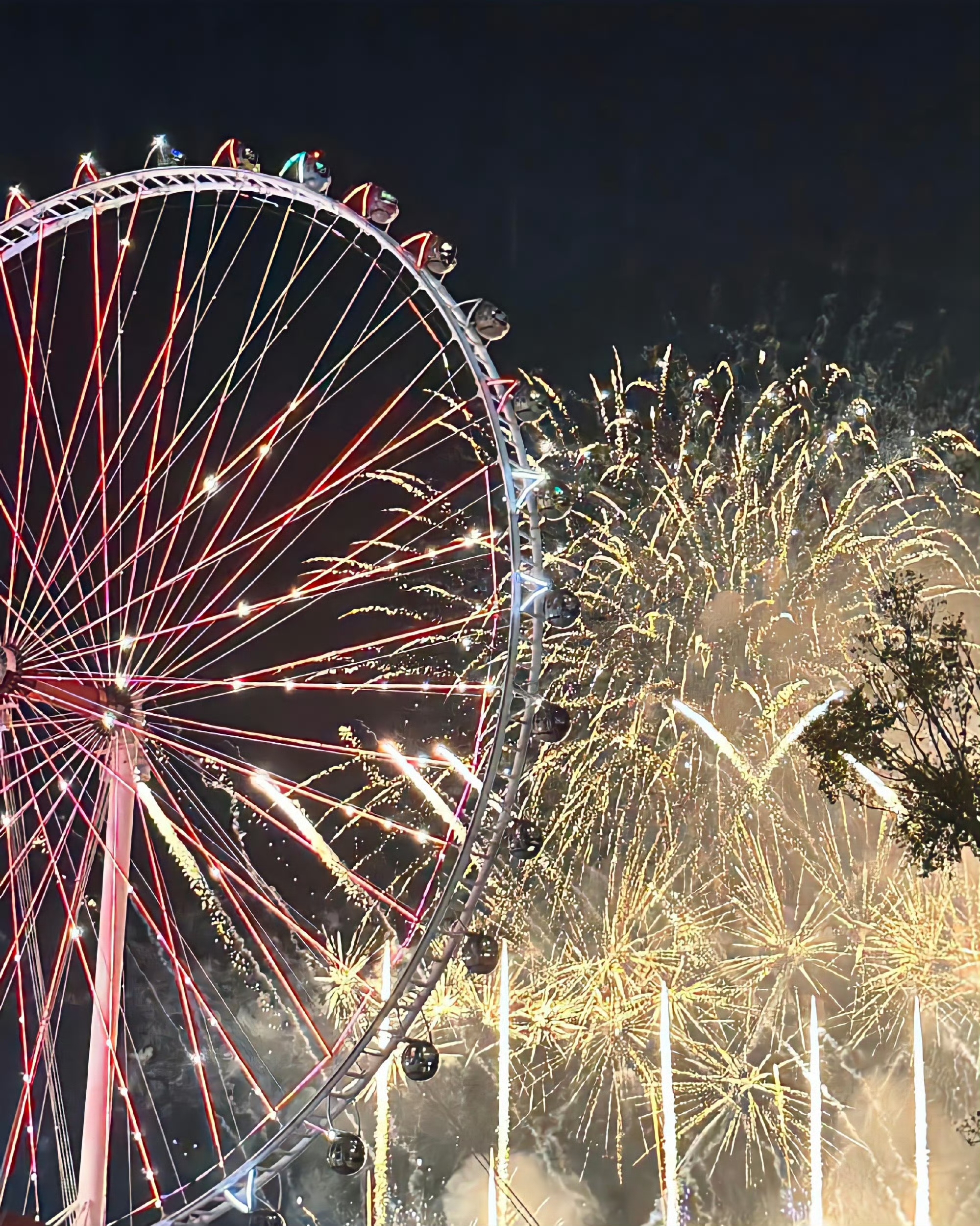 烟花在夜空中绽放