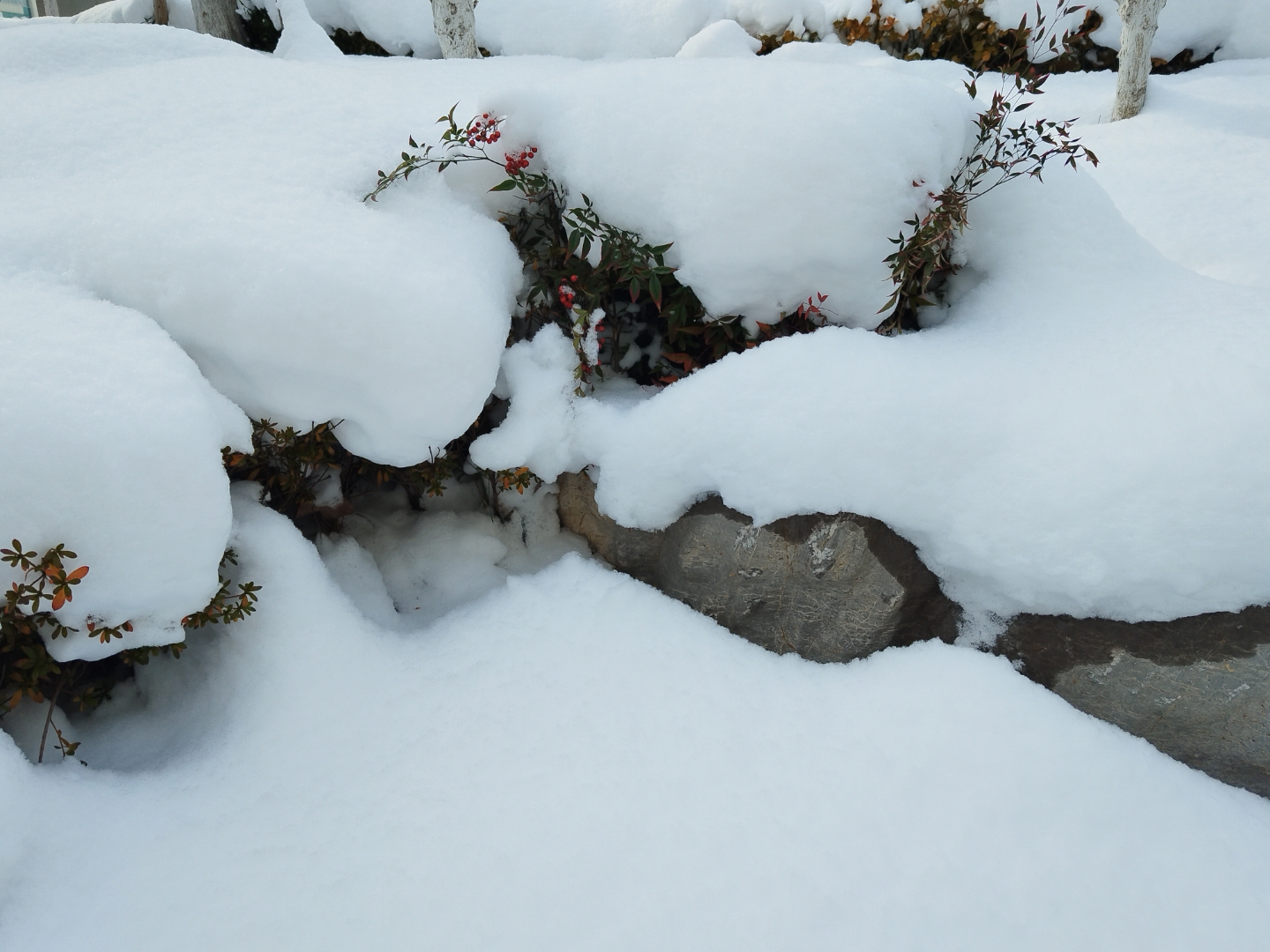 威海因为一场雪火了 威海人民在挖车火了  雪上加霜都是小意思 威海是