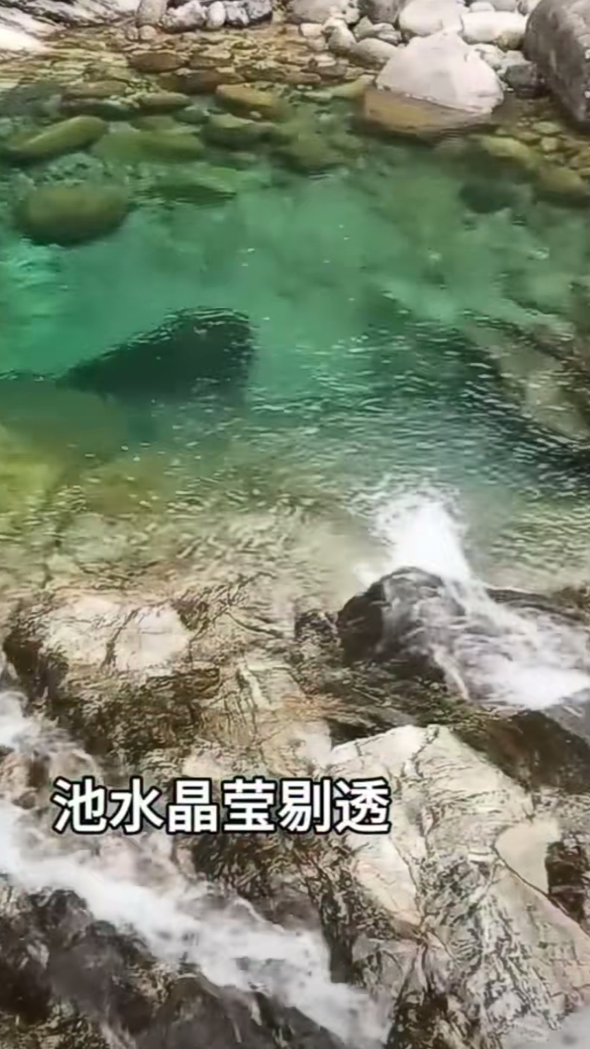 学习古诗分享#(原创) 《游少林寺》 (唐.