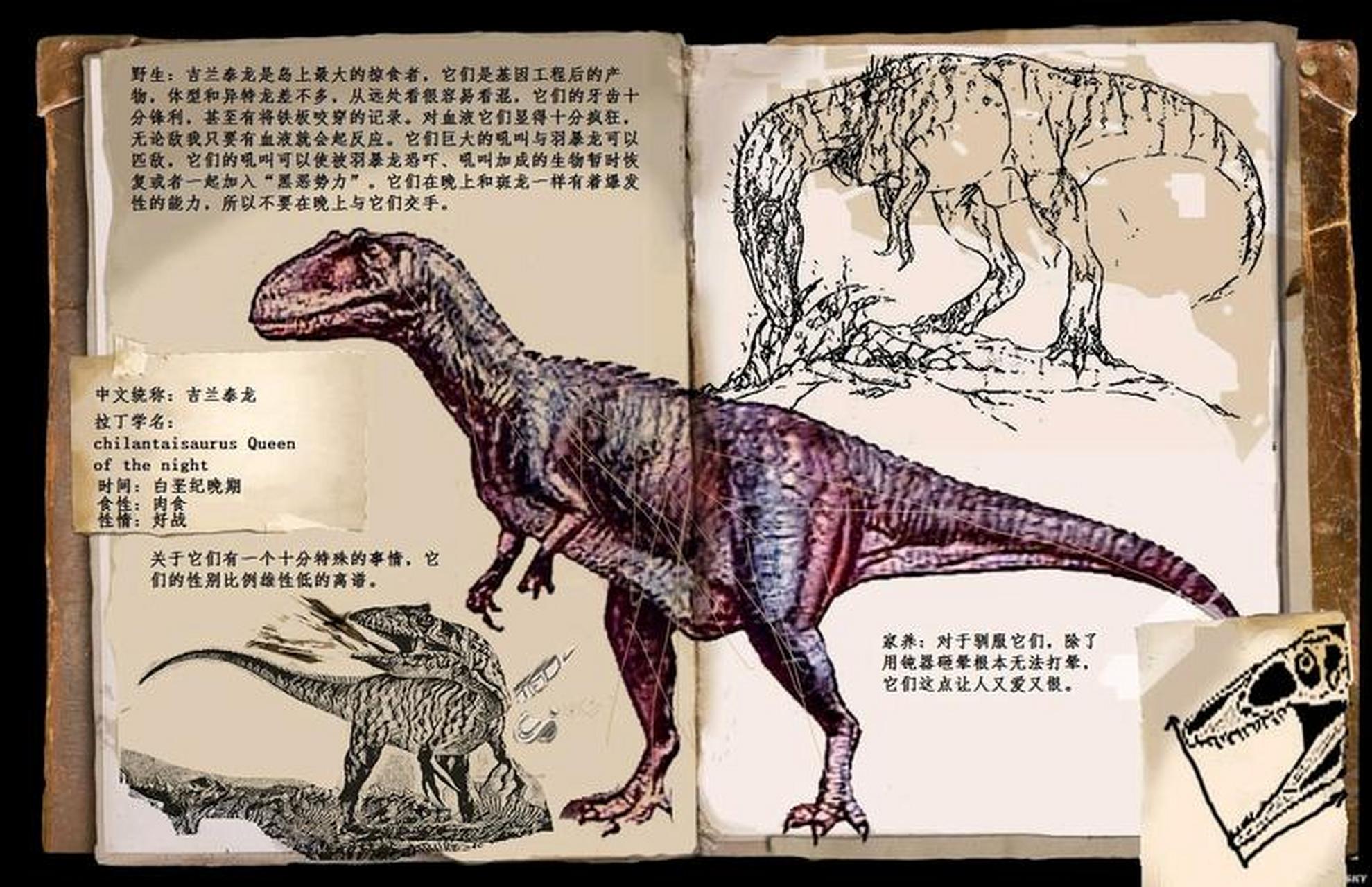 吉兰泰龙是生存于距今8900万年前的晚白垩纪土伦期的