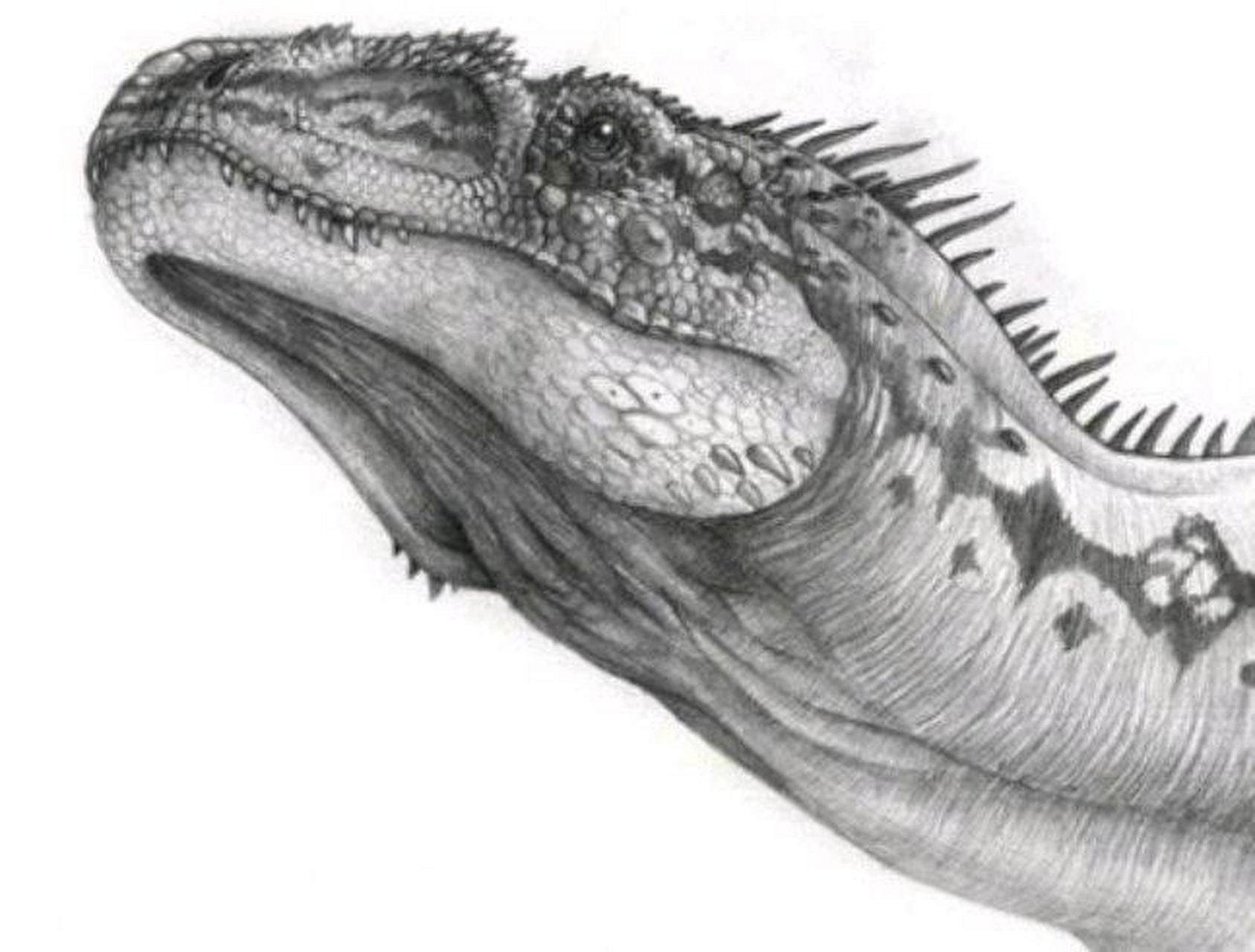 动物# 皮亚尼斯基龙 皮亚尼斯基龙属于斑龙科,总共有两个已知的卜分