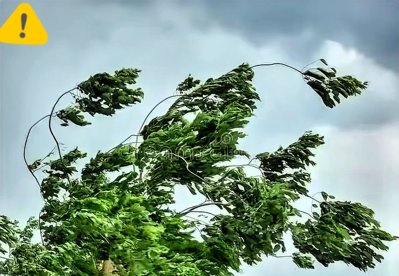 听老人说,要是这天起了大风,种地的老乡们可就心里没底了