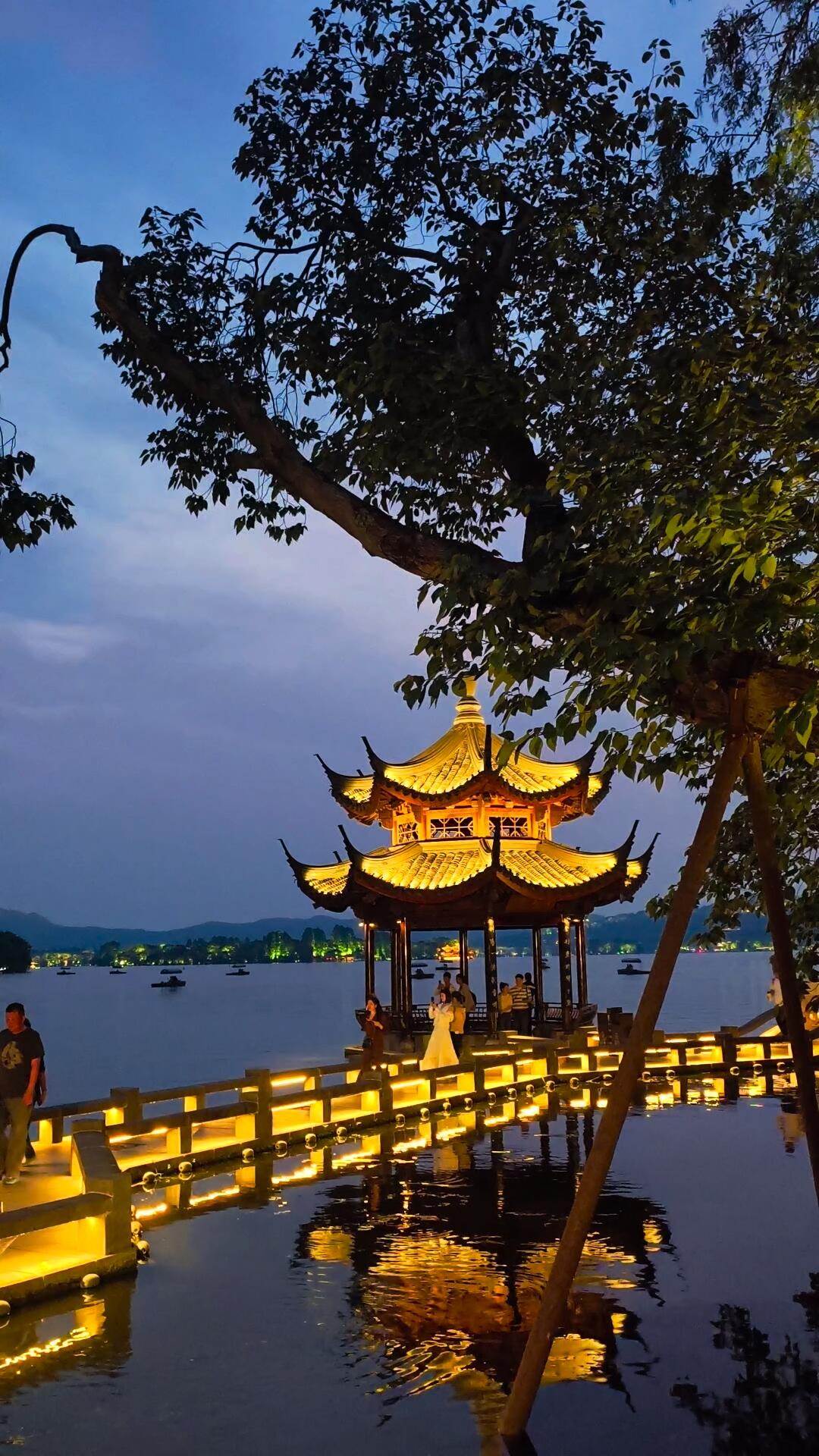 杭州西湖的夜景#图个开心##杭州西湖美景