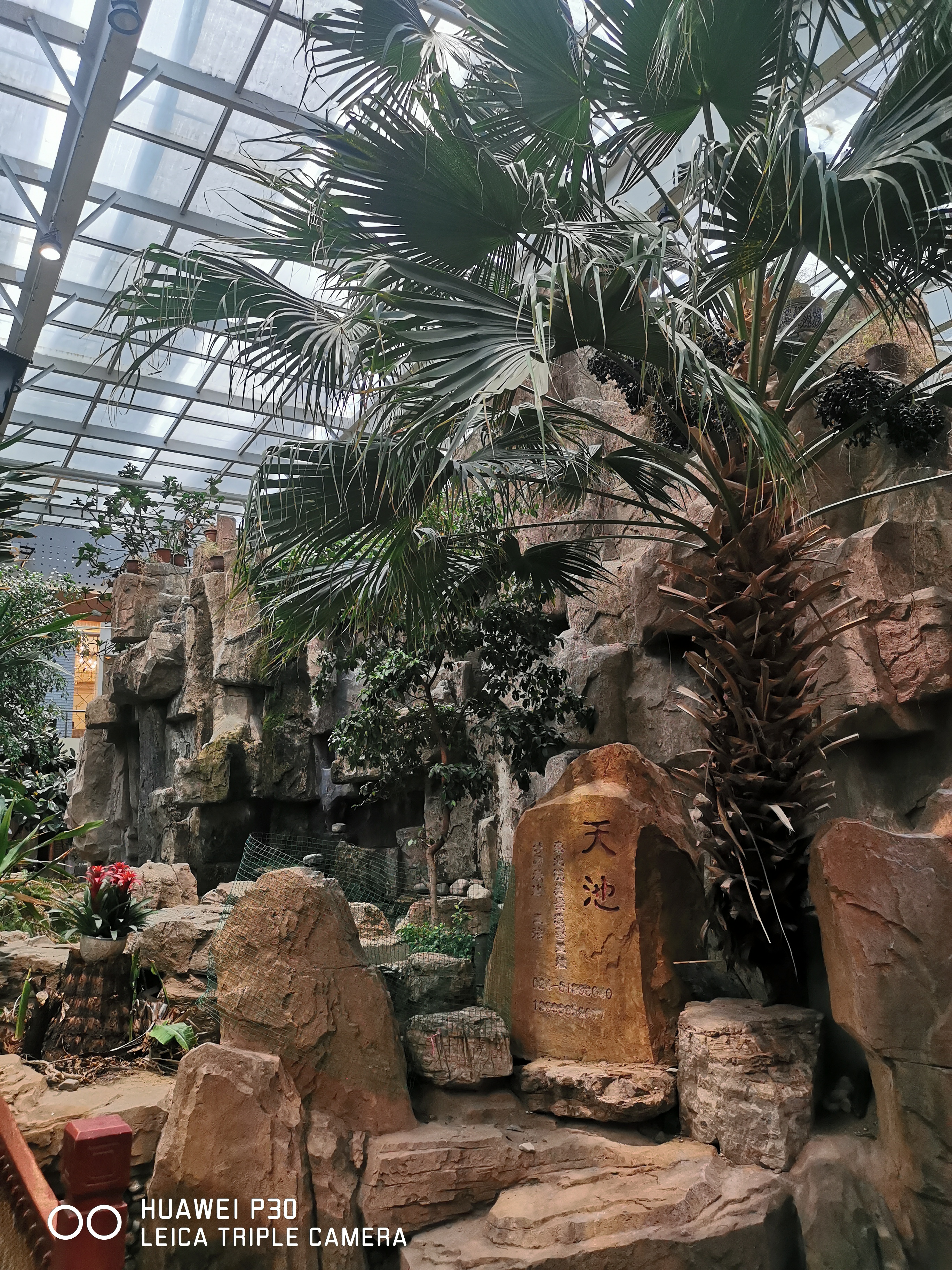 大昌生态园,黄土高原上的餐饮明珠