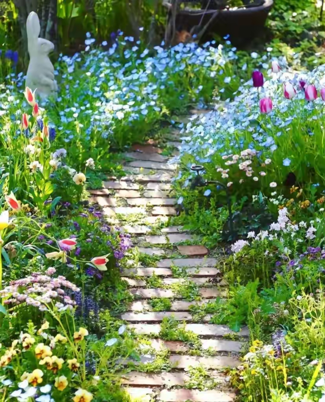 红砖铺路两旁鲜花不用,踏入这片春日花园,感受花语轻拂脸庞