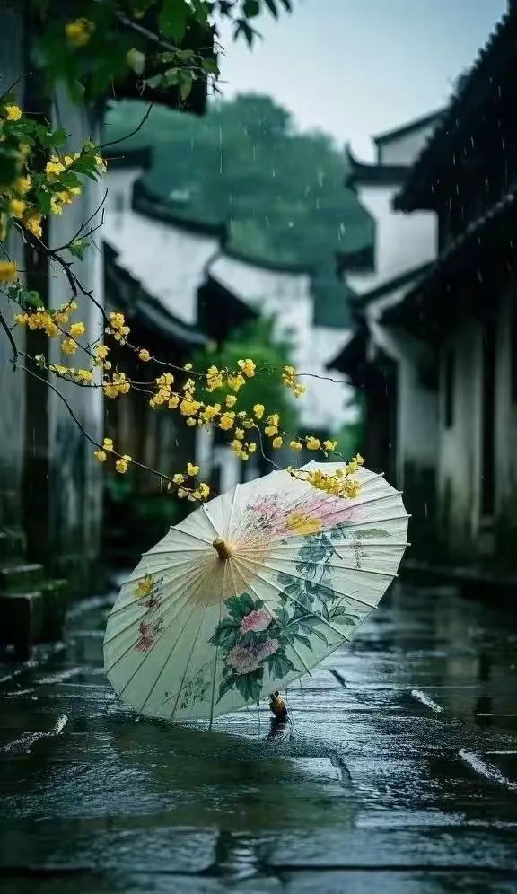 江南小巷花纸伞雨中的花纸伞掉落在地,青瓦白墙青石板,墙外的树枝开满
