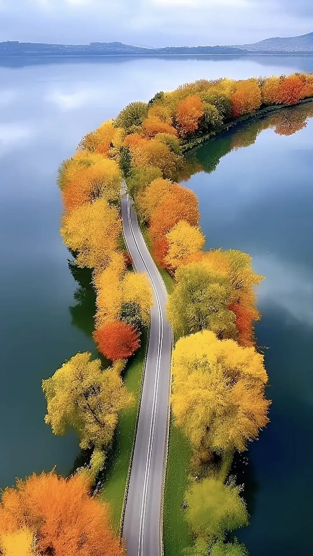 哇,这秋天的道路太美了,让人忍不住想开车兜一圈,感受这季节的气息!