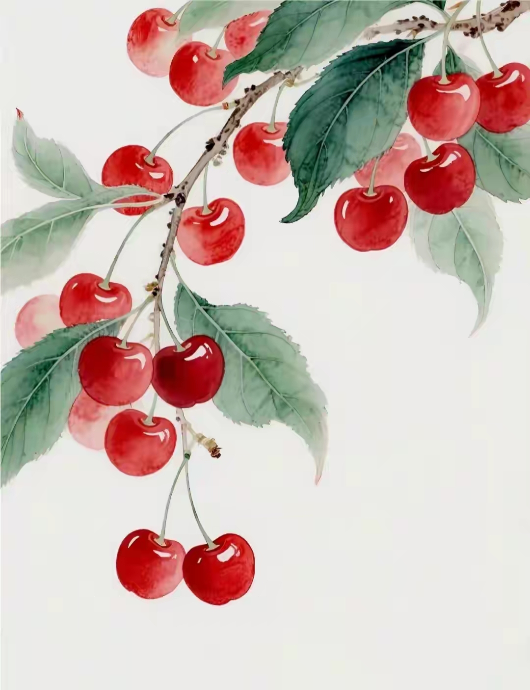 涂鸦的红樱桃图跟真的一样,樱桃上闪着光泽新鲜诱人,好像摘下来吃上几
