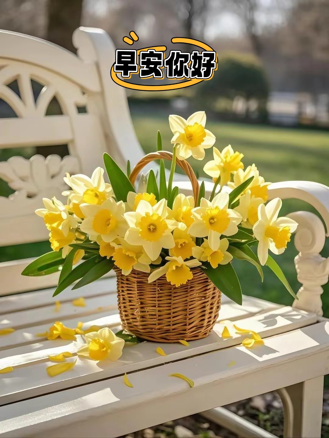 早安你好问候语图片精美图片,早安你好一杯茶一本书一束花装满了花篮