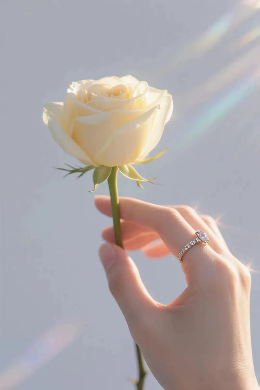 手持玫瑰花的图片!手戴钻戒还拿着一朵玫瑰花,这是求婚成功的象征吗?