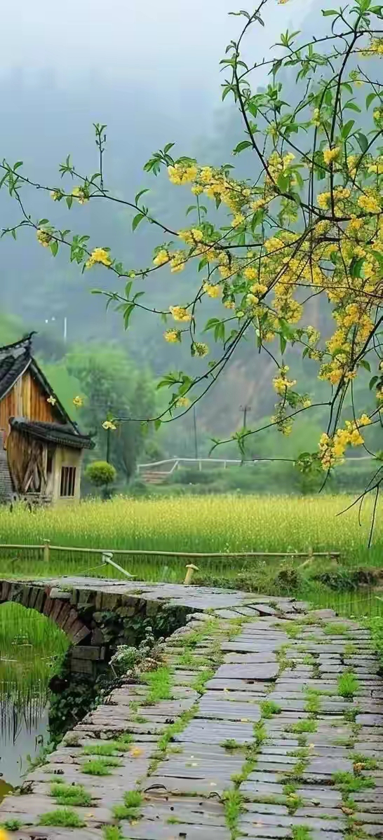 乡下人家风景图图片