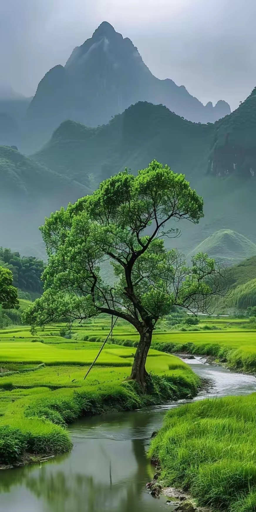 大山下的那棵树成了漂亮的风景,这风景美得像画一样!