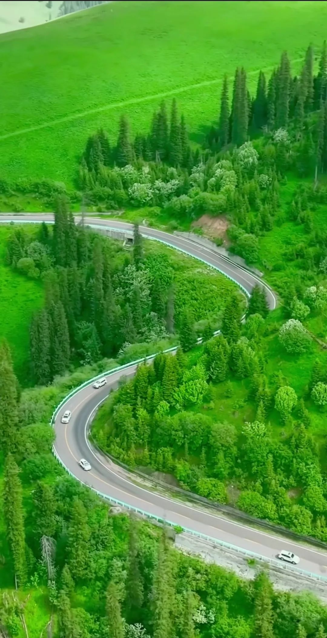 太美了!做壁纸屏保手机背景都适合的图片!